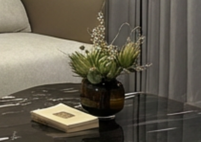 康养城云镜306户型